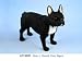 Produktbild Schwarze Französische Bulldogge Hunde-Figur