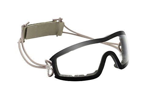 Preisvergleich Produktbild Swiss Eye Schutzbrille, Transparent