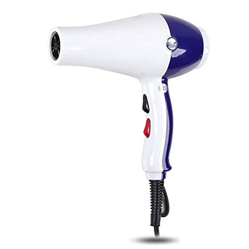 Preisvergleich Produktbild XSWZAQ Friseur Friseursalon professioneller Haartrockner konstante Temperatur hohe Leistung heißer und kalter Luftkanal leise schnell trocken schadet dem Haar Nicht (Farbe : Blau)