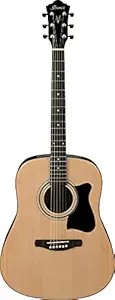 Ibanez V50NJP-NT Acoustic Guitar Pre Pack, Dreadnought, Natural High Gloss