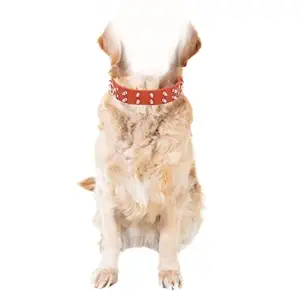 BURAQ Leather Spiked Studded Dog Belt Collar for Medium and Large Dogs Set of Dog Collar for Pit Bull Mastiff Boxer Bull Terrier. (Brown Spike 1.2 INCH)