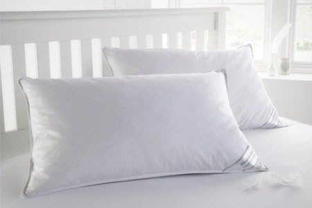 Memory Core Hugg Anti-Allergy Pillow Pair Pillows (two)