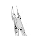 Footful Professional Large Stainless Steel Paronychia Nail Cutter Ingrown Toenail Ingrowing Nail Clippers---Silver