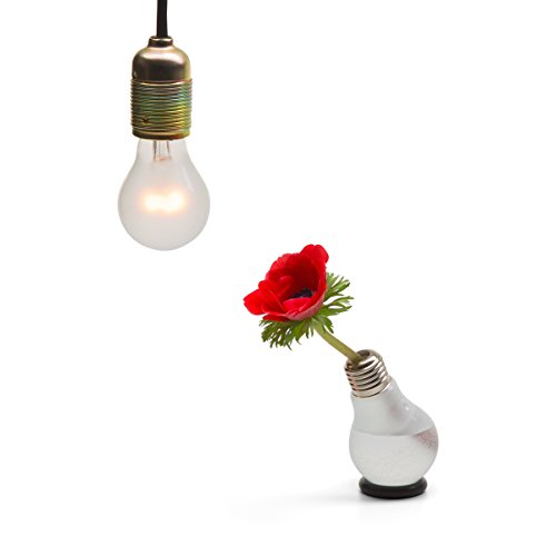 Blühbirne – Glühbirnenvase - 6