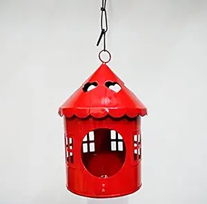 Tnz Creations Metal Bird House with Chain Hanging for Garden|Balcony Decoration. Easy to Hang on Wall in Balcony, Window or Trees. Pack of 1 Piece. Size. 4.6 x 4.6 x 8.4 Inches ( LxBxH)