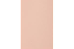 Netuno 50x carton rose clair 250g papier décoratif A3 297x420mm Burano Rosa idéal pour cartes de voeux scrapbooking bricolage invitations art et artisanat anniversaire DIY loisirs créatifs