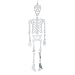 Produktbild Brauns-Heitmann 6712 - House of Halloween - Skelett, ca. 40 cm, spiegelnd