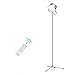 Produktbild [Neue Version] Buydalight F10 Fernbedienung Super Bright 700 Lumen Led Stehleuchte Indoor LED-Lampe für Wohnzimmer / Schlafzimmer / lesen (dimmbar, 3000k - 6000k Warm weiß) (Silber)
