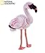 Produktbild Ulysse 770760" Lesser Flamingo National Geographic Plüsch, Natur