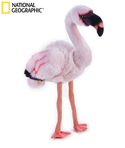 Preisvergleich Produktbild Ulysse 770760" Lesser Flamingo National Geographic Plüsch, Natur