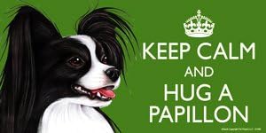 Papillon White and Black Dog Gift - 'KEEP CALM' LARGE colourful 4" x 8" MAGNET - High Quality flexible magnet for indoor or outdoor use for your Fridge, Car, Caravan or use on any flat metal surface -Water proof and UV resistant.
