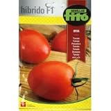 Siembra: en semillero. Sembrar las semillas a 0,5 o 1 cm de profundidad. Trasplante: cuando las plantitas midan unos 15 cm. Considerar 40 cm de separación entre plantas y 80 cm entre líneas. Utilizar tutores para aguantar la planta