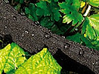Royal Gardineer Perlschlauch „Eco“ 12m 4er-Pack - 9