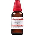 shop homeo BERBERIS AQUIFOLIUM Q 30 ML SCHWABE
