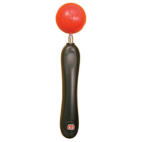 Interpet-Limited-Mikki-Target-Stick