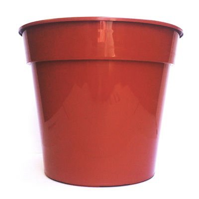 Elixir Gardens Plant Pot | Deep Terracotta Recycled Plastic Pots 6cm / 2" x 50