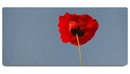 WATERFLY Großes Mauspad Mausunterlage für Gaming und Büro 89 x 40 x 0,2 cm