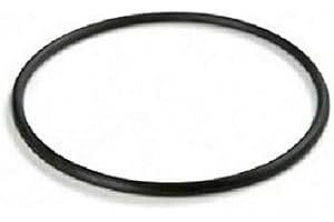 LEGNAGOFERR S.R.L Intex 11379 Dichtung für Chlorinator 6.000 l/h