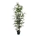 Produktbild De Vielle Künstliche Bambus Baum Realistische Home Pflanze Dekoration, Metall, grün, 4 ft