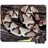 Preisvergleich Produktbild Juvenile Copperhead 2 Mouse Pad, Mousepad (Reptiles Mouse Pad)