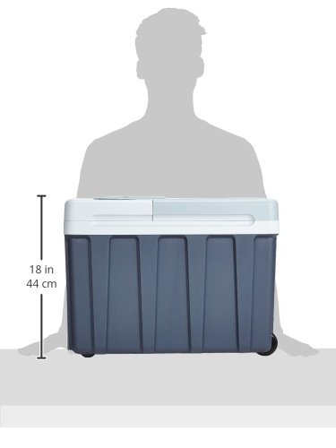 Mobicool W40 AC/DC - thermo-elektrische Kühlbox mit Rollen, 39 Liter, 12 V und 230 V für Auto, Lkw und Steckdose, A++ - 3
