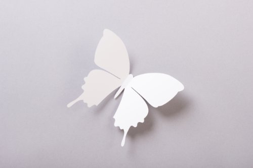 Bilderdepot24 „Schmetterlinge in 3D Style“ – WEIß – 15 Stück im Set inkl. Klebepunkte – Qualitätsware direkt vom Hersteller - 4