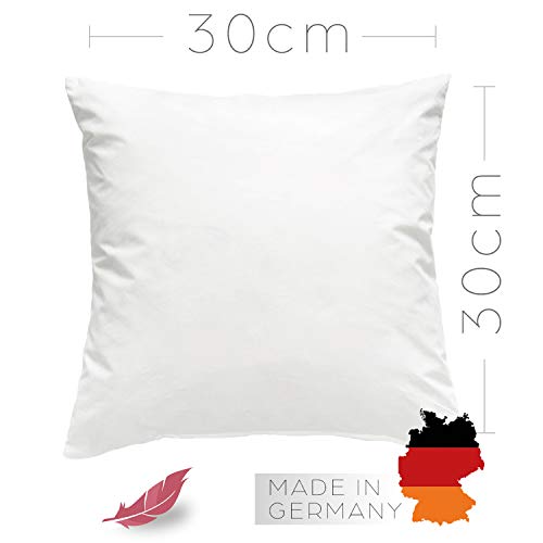 Luxusfeder Kissen Kissenfüllung Innenkissen Federkissen 30x30 cm 170g Federn und Daunen, robust, deutsches Qualitätsprodukt