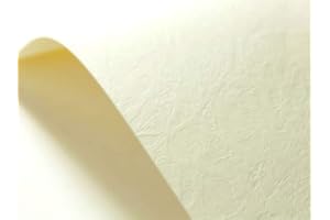 Netuno 100 Hojas Cartulina Texturizada Elfenbein Marfil Cuero A4 210x297 mm 246g – Papel con Relieve para Invitaciones, Tarjetas de Felicitación, Manualidades y Proyectos Creativos