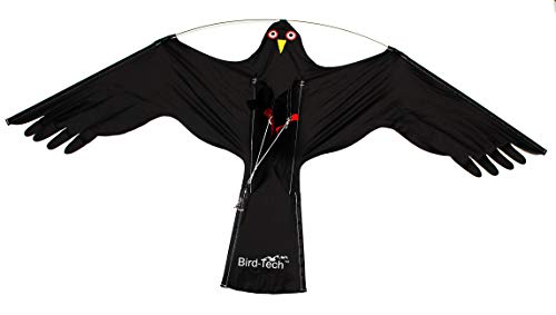 Cometa halcón nylon resistente uv profesional