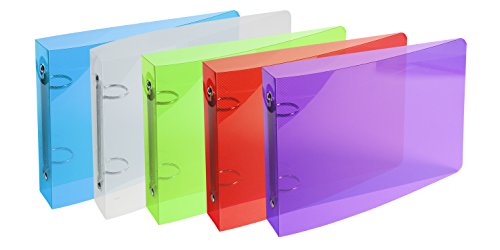 EXACOMPTA Classeur Fiche Bristol Dos 35mm 148 x 21 2 anneaux Polypropylene translucide 710eme 5 couleurs aleatoires