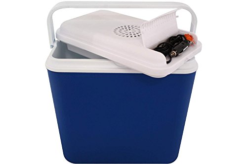 Interior WA240V elektrische Kühlbox, Mini Kühlschrank 22 L fürs Auto, Thermoelektrische Autokühlschrank Campingbox mit 12 V Anschluss, Minikühlschrank, EEF A+, inkl. 4 Kühlakkus + 1,5 kg Kühlsalz - 7