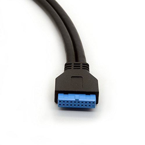 USB 3.0 Motherboard Adapter Kabel 20/19 Pin Header Konvertieren zu zwei weiblich A Typ führen für Heimwerker Gaming PC 25 cm - 3