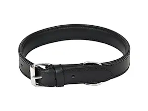Aalee Dog/Pet Classic Collar | Black Size 26-36 cm for Small, Medium and Large Dogs