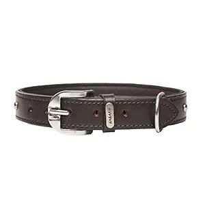 Habarie Dog Collar for Street Dogs Durable in All Weather, Adjustable, Soft and Easy to Put on Dogs ,Young Adult Stone Studded Dog Collar Dog Belt Neck Belt