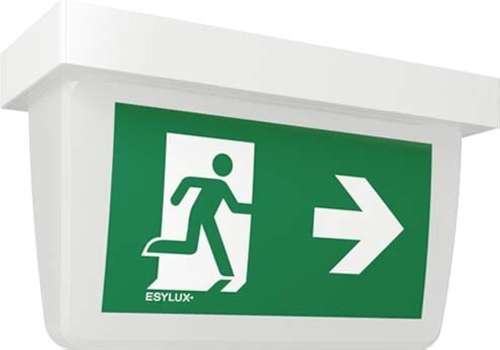 светильник аварийный дпа-5030. аварийный светильник 10 вт 359×139мм. Esylux высокий корпус sla. светильник аварийный светодиодный встраиваемый. аварийный светильник iek дпа 5040-3.