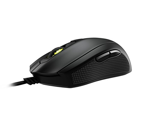 Mionix MNX-01-25001-G - Ratón para Gaming, Color Negro - Mionix