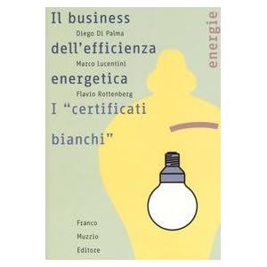 Il business dell'efficienza energentica. I «certificati bianchi»