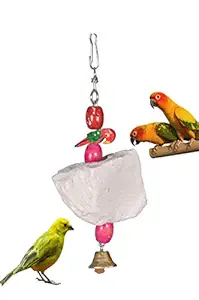 AVI CRAVE Natural Mineral Block Toy for Birds ,Budgies,Love Birds,Cocktails,Conures,Parrots and Other Birds (Small)