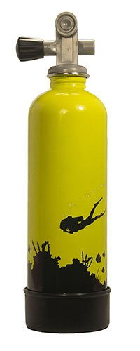 Preisvergleich Produktbild TankH2O Lebensmittelqualität Edelstahl Wasserflasche