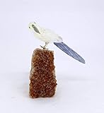 INHALT.2 Stück. Vogel- und Steinbasis. Jedes einzelne Modell ist ein Unikat, und Sie erhalten genau das, was in der Anzeige angegeben ist. (Foto)