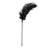 Easytoys Fetish Collection Roleplaying Black Feather Tickler Tickler Toy