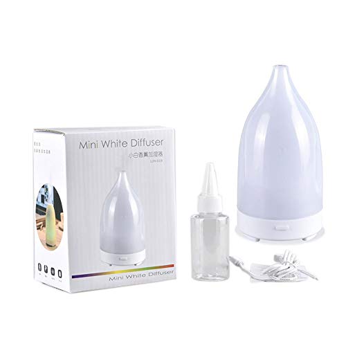 Preisvergleich Produktbild USB-Lade-Ultraschallreiniger Kleiner weißer Aromatherapie-Luftbefeuchter mit Nachtlicht