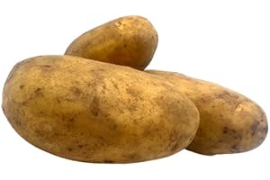 ‎FRUCHTVERSAND24 FRUCHTVERSAND24® Ofenkartoffel (Speisekartoffel), Sorte: Bernina, Inhalt: 2,5 kg (ca. 5-8 Stück), ideal für die Zubereitung als Backofen-Kartoffel