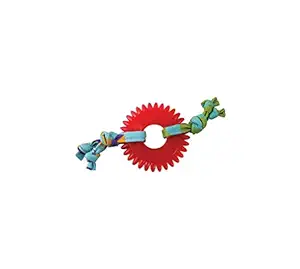 Petstages Dental Kitty Chew Wheel Toy