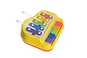 EVOHOME 2 in 1 Musical Xylophone and Piano Keyboard (Big Size) for Toy/Baby/Children/Toddlers 6 Months + with 5 + 5 Notes for Kids (Pack of 1)- Multicolor