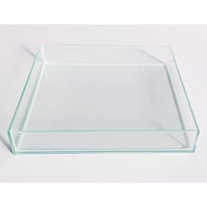 Terrarium Glas Wasserschale Dekoschale Pflanzenschale Futteschale Wassernapf (40x40x8cm)