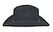 Westernhut Chuck 100% Wool Felt -  black - Small