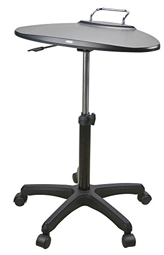 Preisvergleich Produktbild Aidata 73133, Standort mobile, für Notebooks, Schwarz