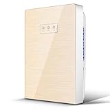 DéShumidificateur à Double CœUr Intelligent De Haute Puissance, Mini DéShydrateur De DéShumidification pour sous-Sol Silencieux - RéServoir d'eau De 2,2 L De Grande Capacité