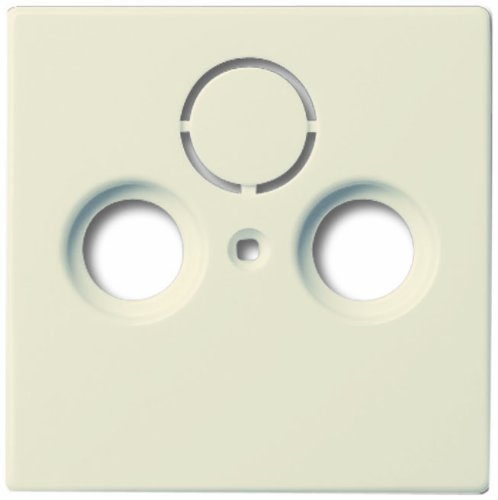 Preisvergleich Produktbild Busch-Jaeger 1743-82 Zentralscheibe